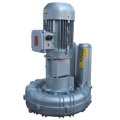 Воздуходувка FPZ K06-MS-GVR-5.50-2 Flex-coupling Vertical IE2